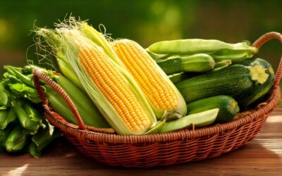 The Three Sisters: Ancient Wisdom for Modern Sustainable Gardens