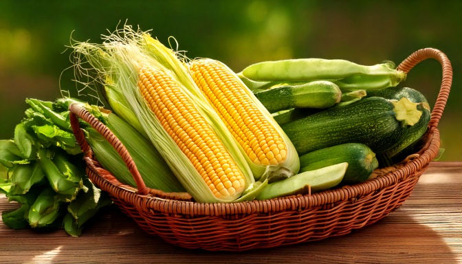 The Three Sisters: Ancient Wisdom for Modern Sustainable Gardens